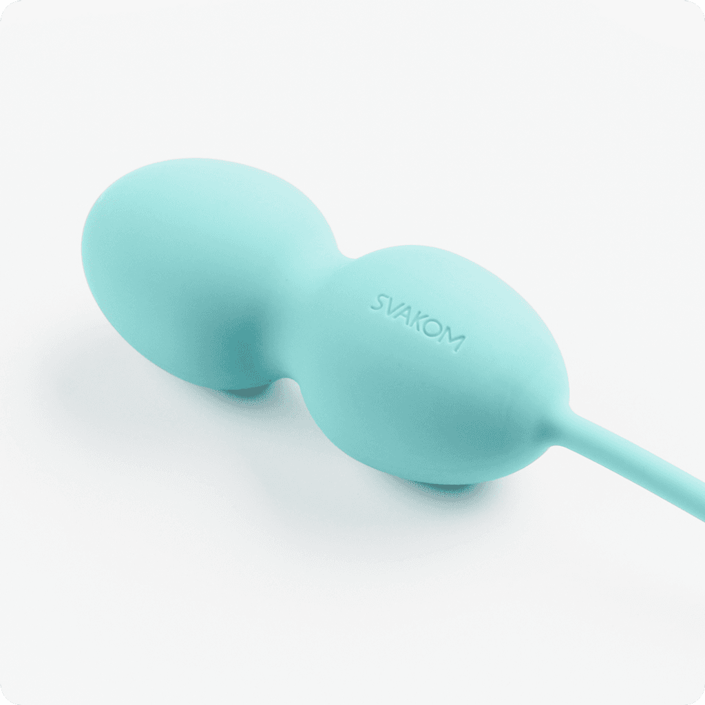 스바콤 노바 미리보기 1